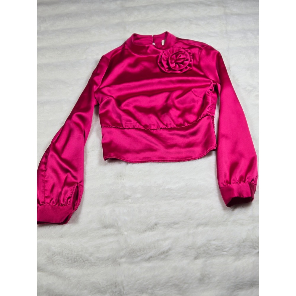 Fuchsia Pink Satin Rosette Mock Neck Crop Top Smocked Back Long Sleeve Blouse